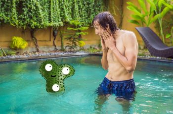 How to get rid of pool algae